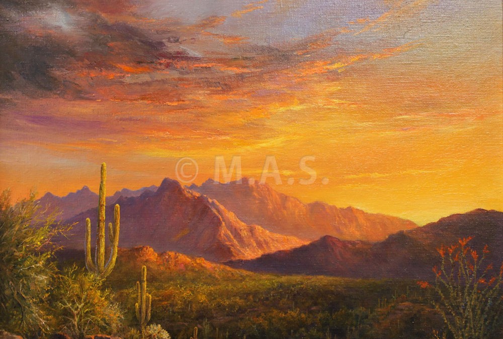 Arizona Sunset